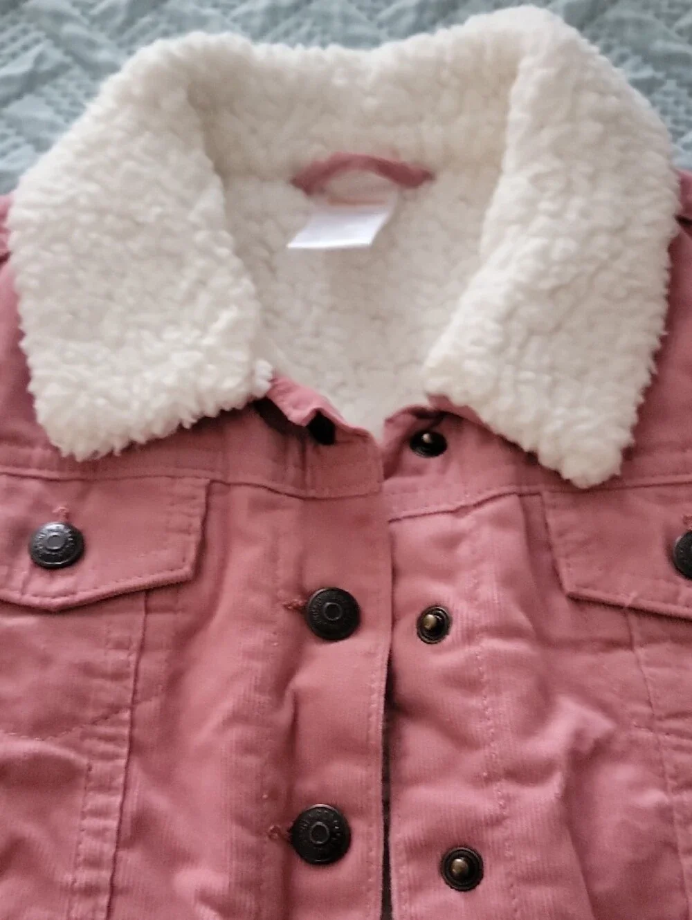 Gymboree Pink Sherpa-Lined Jacket